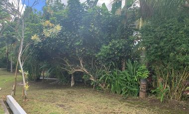 APARTMENT COMPLEX WITH POOL FOR SALE ID 14836