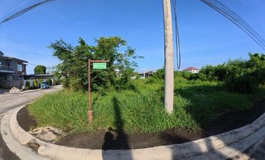 Tamarind Ridge @ Orani Bataan Corner Lot