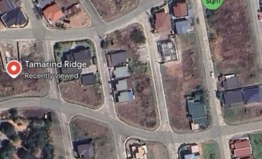 Tamarind Ridge @ Orani Bataan Corner Lot