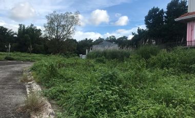 Tamarind Ridge @ Orani Bataan Corner Lot