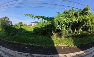 Tamarind Ridge @ Orani Bataan Corner Lot