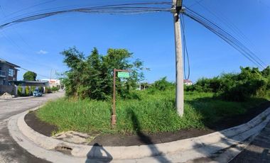 Tamarind Ridge @ Orani Bataan Corner Lot