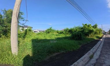 Tamarind Ridge @ Orani Bataan Corner Lot
