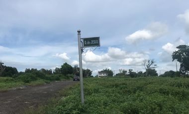 Tamarind Ridge @ Orani Bataan Corner Lot