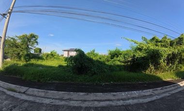 Tamarind Ridge @ Orani Bataan Corner Lot