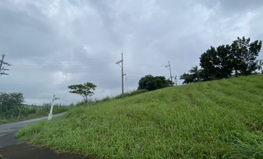 Prime 580 sqm Lot for Sale in La Cresta, Colinas Verdes – Gated Community with World-Class Amenities-  La Cresta Lot Promo at ₱13,000/sqm + VAT