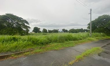 FOR SALE RESIDENTIAL LOTS WITHIN AN EXCLUSIVE COMMUNITY NEAR SM PAMPANGA & NLEX