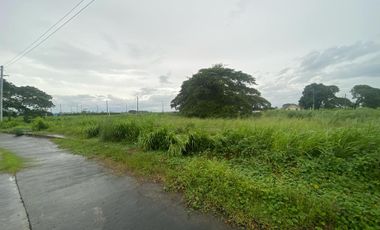 FOR SALE RESIDENTIAL LOTS WITHIN AN EXCLUSIVE COMMUNITY NEAR SM PAMPANGA & NLEX