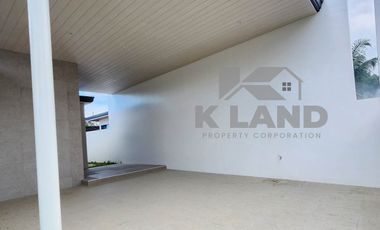 Brand New House And Lot  For Sale in Skyline Village Phase 1, San Pedro St.