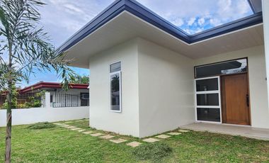 Brand New House And Lot  For Sale in Skyline Village Phase 1, San Pedro St.