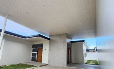 Brand New House And Lot  For Sale in Skyline Village Phase 1, San Pedro St.