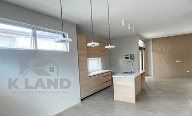 Brand New House And Lot  For Sale in Skyline Village Phase 1, San Pedro St.