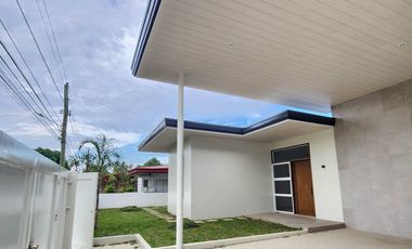 Brand New House And Lot  For Sale in Skyline Village Phase 1, San Pedro St.