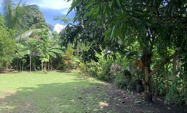 HOUSE AND LOT FOR SALE IN DUMAGUETE CITY