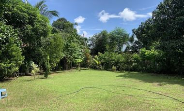 HOUSE AND LOT FOR SALE IN DUMAGUETE CITY