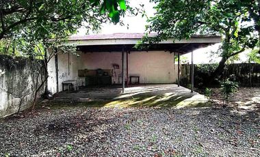 House and Lot 3BR with huge garden, clean title in Sta. Cruz Mexico, Pampanga