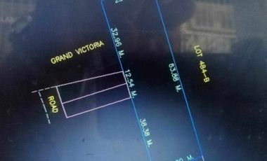 Lot 5,000 sqm, clean title in Cabanatuan City