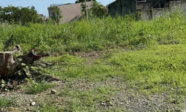 Lot 5,000 sqm, clean title in Cabanatuan City