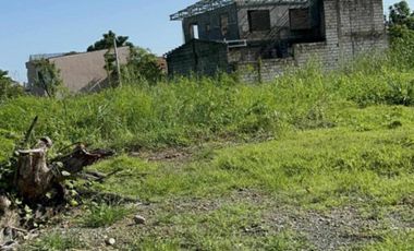 Lot 5,000 sqm, clean title in Cabanatuan City