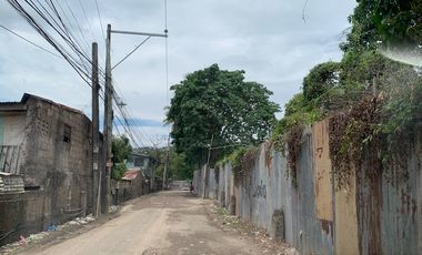 Lot for Rent in Banawa Semi Commercial Lot
