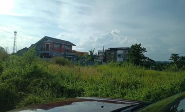 Exclusive Subdivision! Prime Lot! Near Main Gate! Fleur De Lis Village