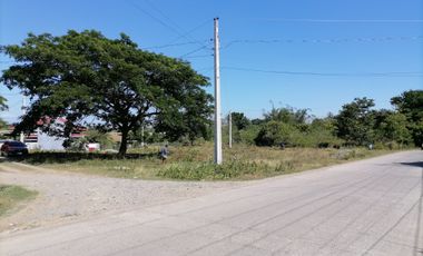 Exclusive Subdivision! Prime Lot! Near Main Gate! Fleur De Lis Village