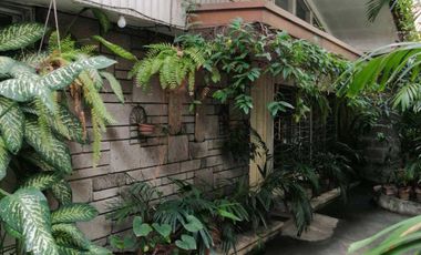 For Sale 1 Main House and 1 Apartment at Brgy. Tejeros Makati City