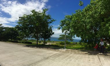 For Sale: 366sqm Residential Lot in Amara Liloan with Sea View