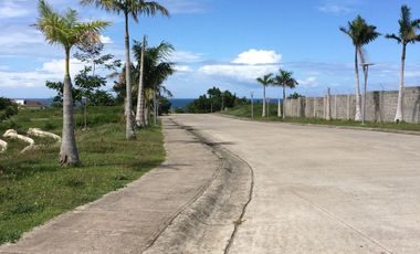 For Sale: 366sqm Residential Lot in Amara Liloan with Sea View