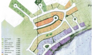 For Sale : 449 sqm Residential Lot in Amara Liloan