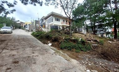 titled lot flat terrain