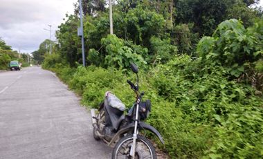 For Sale: Prime Lot Near the Beach – Panglao Island, Bohol