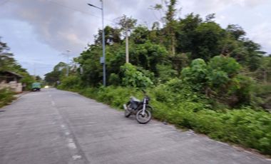 For Sale: Prime Lot Near the Beach – Panglao Island, Bohol