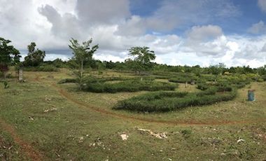 Commercial & Residential For sale in Panglao Bohol