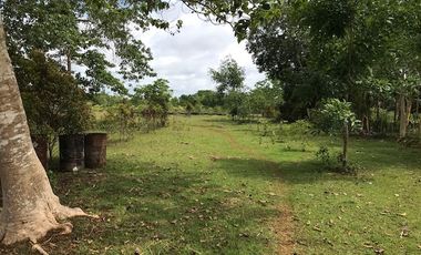 Commercial & Residential For sale in Panglao Bohol