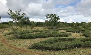 Commercial & Residential For sale in Panglao Bohol