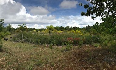 Commercial & Residential For sale in Panglao Bohol