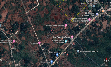 Commercial & Residential For sale in Panglao Bohol