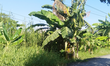 Residential Lot for Sale - Near Megaworld Capital Town