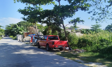 Residential Lot for Sale - Near Megaworld Capital Town