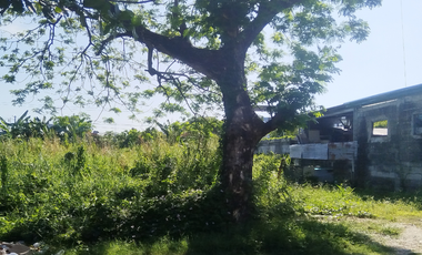 Residential Lot for Sale - Near Megaworld Capital Town