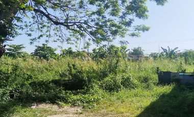 Residential Lot for Sale - Near Megaworld Capital Town