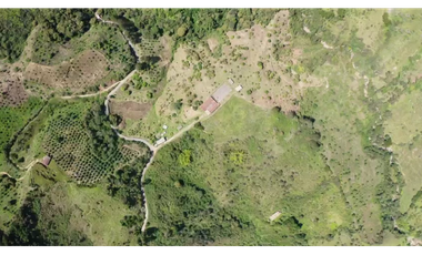 Venta finca de producción Guatape