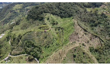 Venta finca de producción Guatape