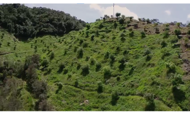 Venta finca de producción Guatape