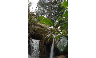 Venta finca de producción Guatape