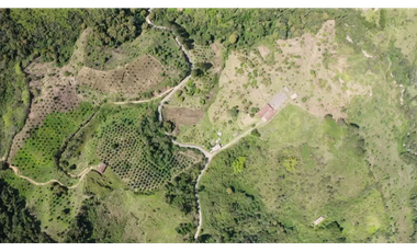 Venta finca de producción Guatape
