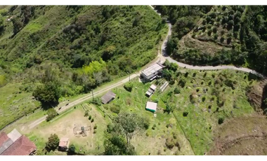 Venta finca de producción Guatape