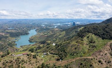 Venta finca de producción Guatape