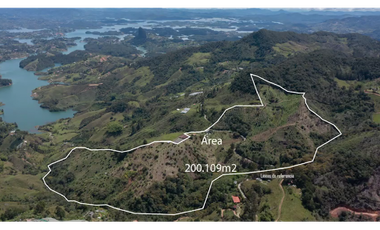 Venta finca de producción Guatape